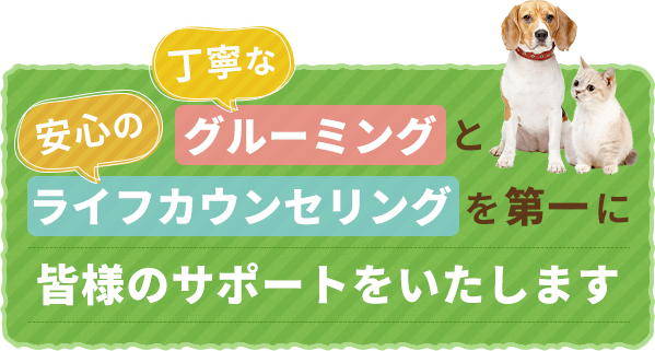 丁寧なグルーミングと、安心のライフカウンセリングを第一に、皆様のサポートをいたします。